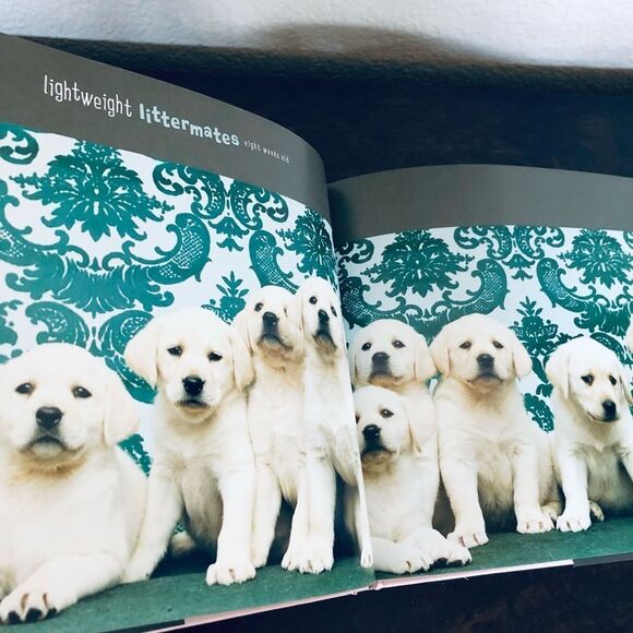 Lightweight Littermates Puppy Dog Portrait Photo Book - Picture 5 of 5
